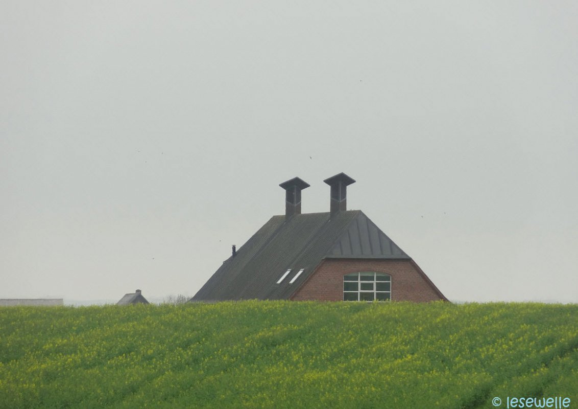 haus-hinter-hc3bcgel